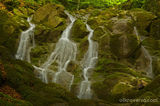 Планинска омая