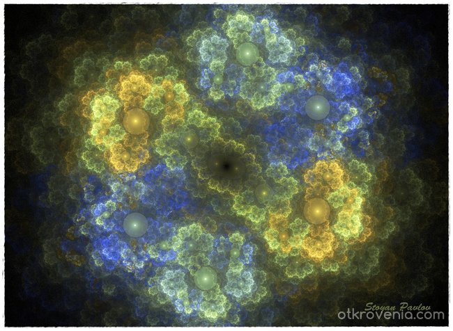 Nebula Hydrangea