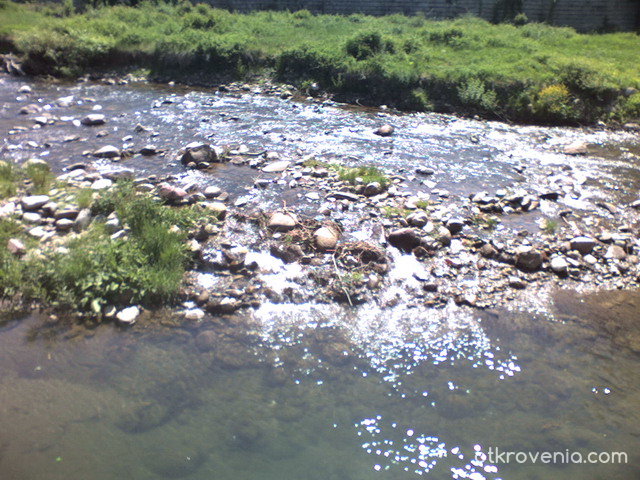 Река Вит