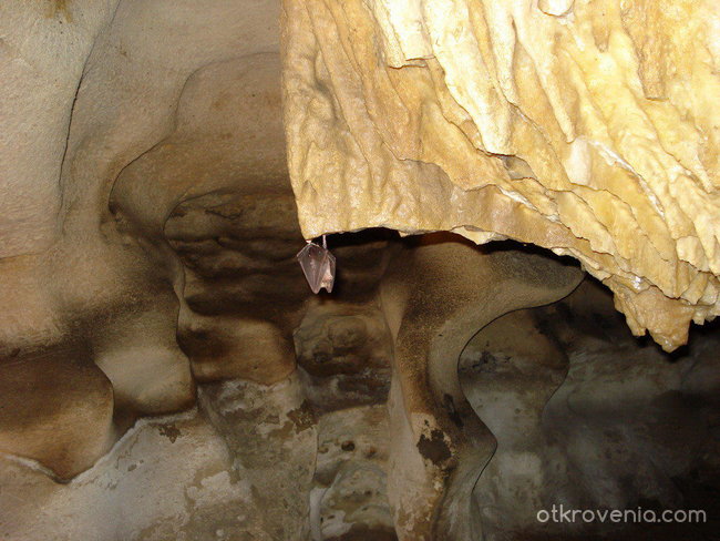 пещера "Орлова чука" 2