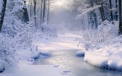 Красотата на зимата