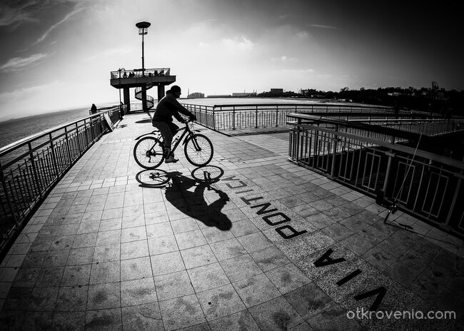 Via Pontica (Черноморски път)