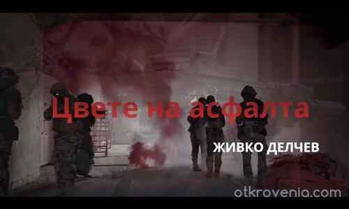 Цвете на асфалта ★ Живко Делчев