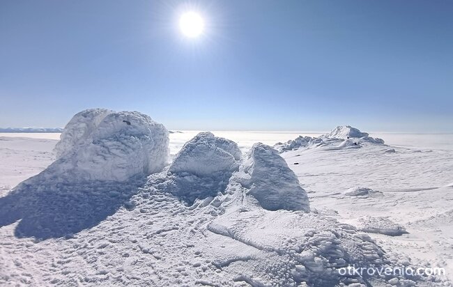 Черния в светлина