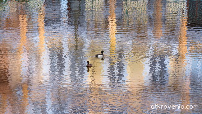 "Интерференция на светлината"