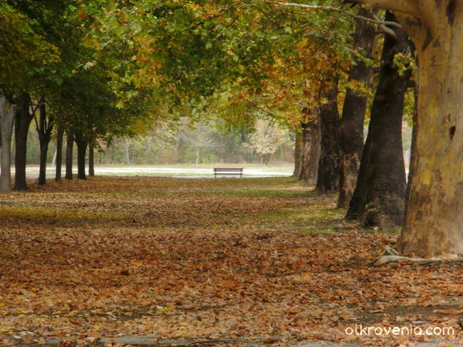 Есен в парка