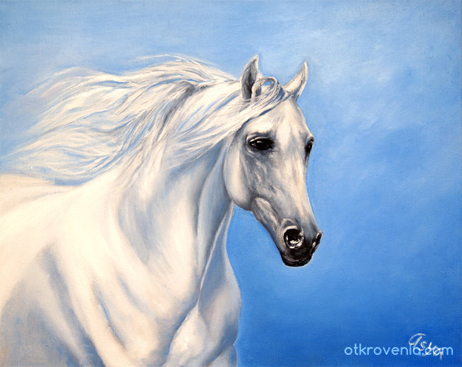 Като бели коне препускат мечтите ми...